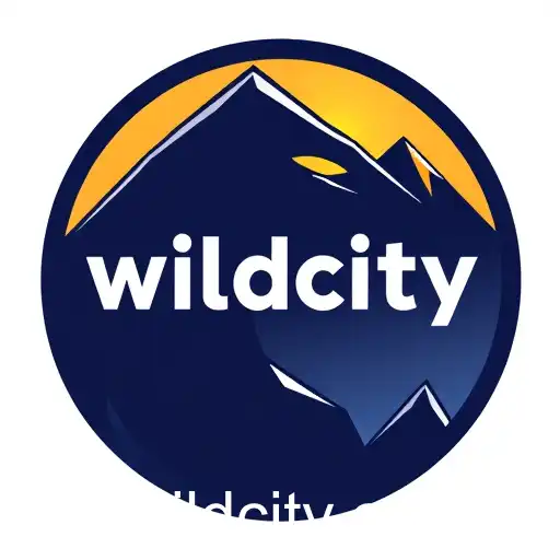 Navigating the Wildcity: Gaming Trends and Insights
