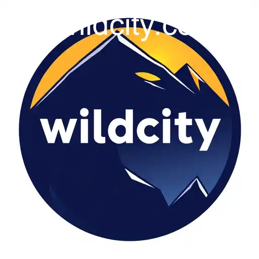 Navigating the Wildcity: Gaming Trends and Insights